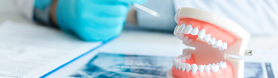 BTN DENTAL CLINIC