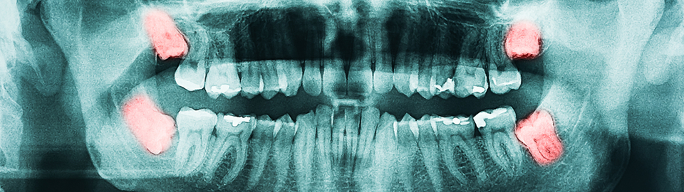 BTN DENTAL CLINIC